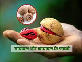 जायफल और कायफल में मामूली अंतर बनाते हैं इन्हें बच्चों से लेकर बूढ़ों तक के लिए फायदेमंद, जानें दोनों के जबरदस्त फायदे