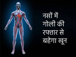 नसों में गोली की रफ्तार से बहेगा खून अगर खाएंगे ये 5 सस्ते फूड्स, जानें नसों के लिए हेल्दी फूड्स