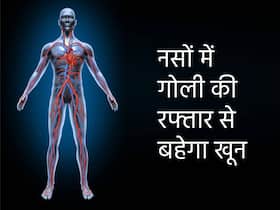 नसों में गोली की रफ्तार से बहेगा खून अगर खाएंगे ये 5 सस्ते फूड्स, जानें नसों के लिए हेल्दी फूड्स