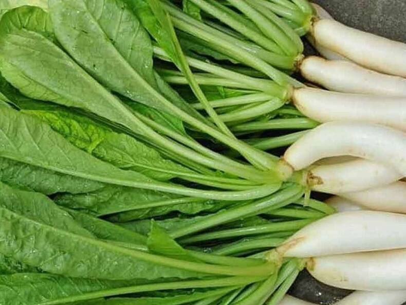 Vegetable Juice For Diabetes: डायबिटीज रोगियों के लिए दवाई से भी ज्यादा कारगर है ये 4 वेजिटेबल जूस, ब्लड शुगर लेवल रहता है कंट्रोल