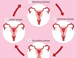 Trying To Conceive? Ovulation Myths Debunked By An Expert