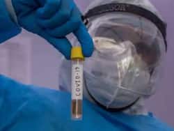 Does Convalescent Plasma Therapy Help Covid Patients? WHO Advises Against The Use Of Blood Plasma Treatment