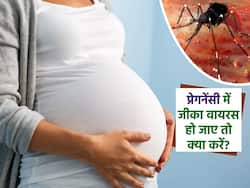 Zika Virus in Pregnancy: प्रेगनेंसी की शुरुआत में जीका वायरस हो जाए तो क्‍या करें? आयुर्वेदिक डॉक्‍टर से जानिए आसान उपाय