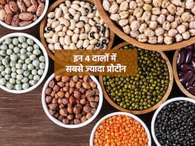 Protein Rich Dal in hindi : इन 4 दालों में है सबसे ज्यादा प्रोटीन! बॉडी बनाना हो या हेल्दी रहना नहीं पड़ेगी सप्लीमेंट की जरूरत, जानें प्रोटीन की मात्रा