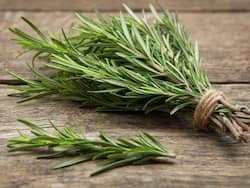 Ayurvedic Herb Rosemary May Block COVID-19 Infection: Study