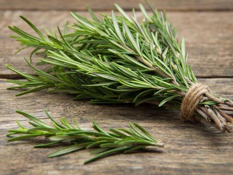 Herbs For Brain Health: जवानी में खाएंगे ये 6 जड़ी-बूटियां तो बुढ़ापे में नहीं होगी भूलने की बीमारी, 100 साल तक दिमाग रहेगा तेज!