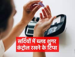 Blood Sugar in Winters : सर्दियों में ब्लड शुगर लेवल को कंट्रोल रखने के लिए खाने की इन 5 आदतों में करें बदलाव, हेल्टी वेट के साथ दुरुस्त रहेगा शुगर लेवल