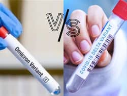 Omicron Vs. Delta: Dr Fauci Weighs In On The Differences Between The Two Virulent COVID Variants