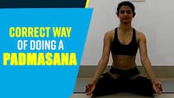 Padmasana Technique: पदमासन करने का सही तरीका, देखिये ये वीडियो !