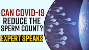 Covid-19 and Fertility: Can Covid-19 Reduce The Sperm Count? Watch Video Covid-19 and Fertility: Can Covid-19 Reduce The Sperm Count? Watch Video