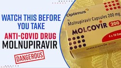 Is Anti-Covid Drug Molnupiravir Safe for Consumption? Expert Speaks
