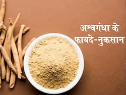 अश्वगंधा के फायदे, औषधीय गुण, लाभ और नुकसान