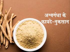 अश्वगंधा के फायदे, औषधीय गुण, लाभ और नुकसान