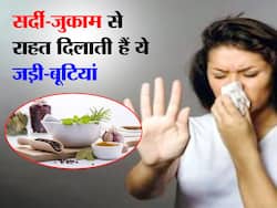 Ayurvedic Remedies For Cold And Cough: सर्दी-खांसी से राहत दिला सकती हैं ये जड़ी-बूटियां, एक्सपर्ट ने गिनायी इनकी खूबियां
