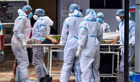 COVID-19 Deaths, Hospitalisations And Lockdowns Could Be Over This Year If...: WHO On How COVID Pandemic Will end