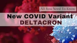 New COVID-19 Variant Deltacron Found In Cyprus: How Transmissible Is It? All You Need To Know