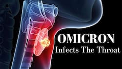 Omicron Can Damage The Throat And Lead To Upper Respiratory Symptoms, Expert Shares New Updates