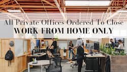 All Private Offices Closed, Work From Home Only, DDMA Announces Fresh COVID-19 Restrictions