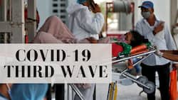 COVID-19 Live Updates: Weekend Curfew In Delhi To Be Lifted; India Logs 3.47 Lakh New COVID Cases In 24Hrs