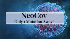New Coronavirus Strain NeoCov Is Only 1 Mutation Away From Infecting Humans: Wuhan Scientists Warn