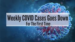 COVID-19 Live Updates: Weekly COVID Cases Goes Down For The First Time As India Battles Third Wave; Deaths Up 41%