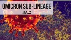 BA.2 Omicron Sub-Lineage Spreads Much Faster Than The Original Strain, Warns UK Scientists