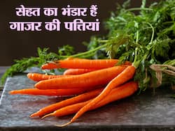 आंखों और दिल को स्वस्थ रखने के लिए गाजर की पत्तियों का सेवन है लाभकारी, जानें इस हेल्दी सब्जी की सभी खूबियां