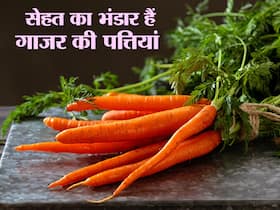 आंखों और दिल को स्वस्थ रखने के लिए गाजर की पत्तियों का सेवन है लाभकारी, जानें इस हेल्दी सब्जी की सभी खूबियां