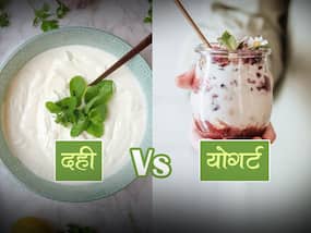 क्या हैं योगर्ट और कर्ड में अंतर,यहां पढ़ें दोनों की खूबियां और फायदे