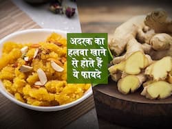 गाजर और शकरकंद नहीं इन सर्दियों में खाएं अदरक का हलवा, सेहत को मिलेंगे ये बेमिसाल फायदे