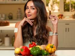 मलाइका ने कहा, जल्दी शादी या बच्चे का फैसला नहीं बनता करियर में रोड़ा, प्रोफेशनल लाइफ में वह सब किया जो मैं चाहती थी