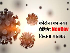 सामने आया नया कोरोना वायरस NeoCov, वैज्ञानिकों ने जतायी चिंता