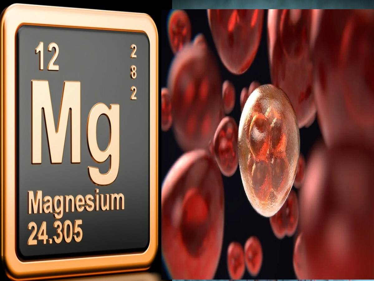 Study Says Magnesium Is Essential In Fight Against Cancer 5 Foods High