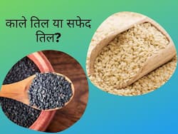 Til Khane Ke Fayde: काले तिल और सफेद तिल में क्या अंतर है, जानिए कौन है ज्यादा फायदेमंद और इनके पोषक तत्व