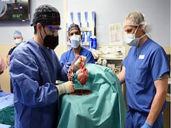 In A First, US Doctors Transplant Pig Heart Into Man With End-Stage Heart Disease