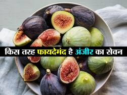 स्टेमिना बढ़ाने और वजन कम करने के लिए खाएं अंजीर, जानें एक दिन में कितना अंजीर खाना चाहिए