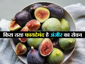 पानी और दूध के साथ अंजीर का सेवन दूर कर सकता है शरीर की ये 5 जटिल समस्याएं, जानें अंजीर क्यों है फायदेमंद