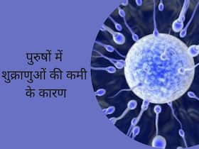 पुरुषों में शुक्राणुओं की कमी के ये हैं 3 प्रमुख कारण; जो पिता बनने में बनते हैं रुकावट, इनफर्टिलिटी एक्सपर्ट से जानिए उपचार पुरुषों में शुक्राणुओं की कमी के ये हैं 3 प्रमुख कारण; जो पिता बनने में बनते हैं रुकावट, इनफर्टिलिटी एक्सपर्ट से जानिए उपचार