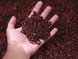 Clove Benefits and Uses- लौंग के फायदे, औषधीय गुण, लाभ और नुकसान
