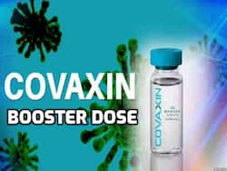 Covaxin booster dose effective against Omicron, delta: New Study