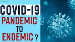 Covid-19 Pandemic to Turn Into Endemic? Watch Video