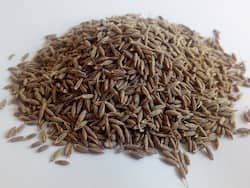 Cumin Benefits and Uses- जीरे के फायदे, औषधीय गुण, लाभ और नुकसान