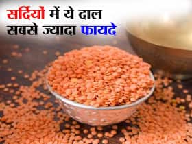 Masoor Dal Health Benefits in hindi: सर्दियों में कफ को बाहर निकाल फेंकती है ये दाल, जानें सर्दियों में सबसे ज्यादा खाई जाने वाली हेल्दी दाल
