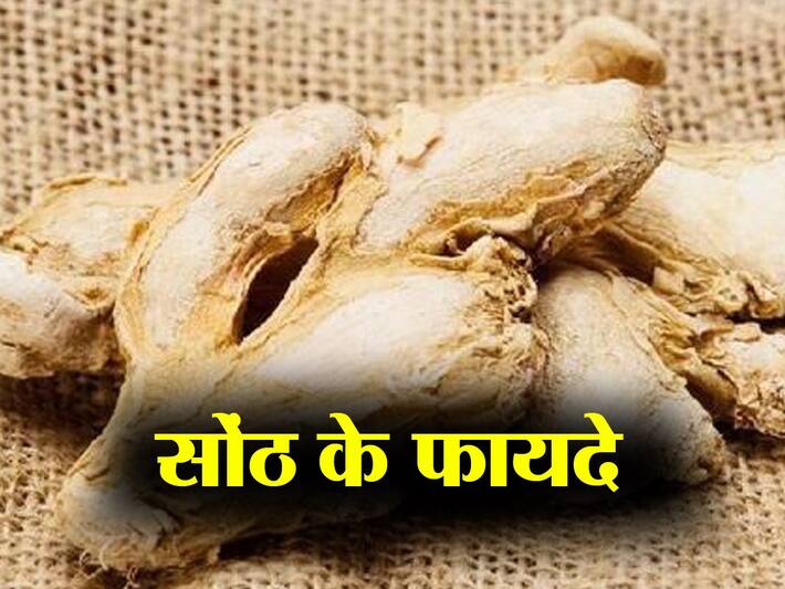Dried ginger Benefits and Uses सोंठ के फायदे, औषधीय गुण, लाभ और नुकसान