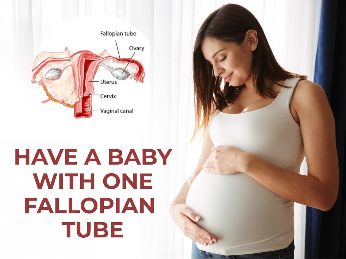 Pregnant Tube