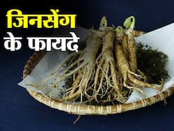 Ginseng Benefits and Uses- जिनसेंग के फायदे, औषधीय गुण, लाभ और नुकसान
