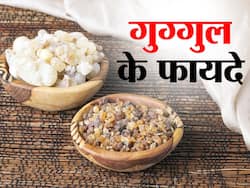 Guggul Benefits and Uses- गुग्गुल के फायदे, औषधीय गुण, लाभ और नुकसान