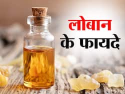 Gum Benzoin Benefits and Uses- लोबान के फायदे, औषधीय गुण, लाभ और नुकसान
