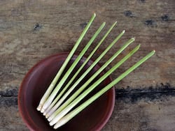 Lemongrass Benefits and Uses- लेमन ग्रास के फायदे, औषधीय गुण, लाभ और नुकसान