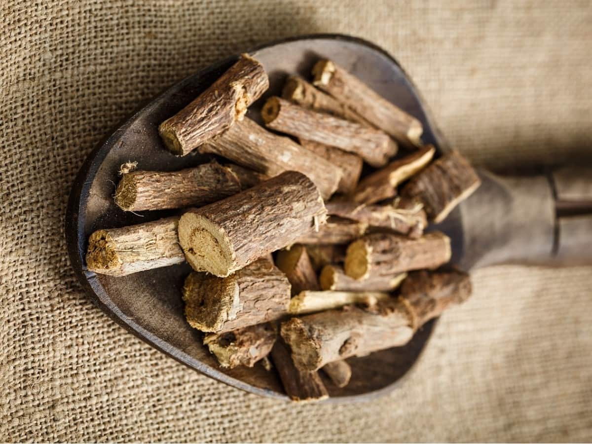 Liquorice Benefits and Uses मुलेठी के फायदे, औषधीय गुण, लाभ और नुकसान हिंदी